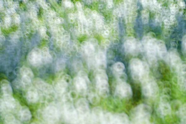 Verrassing kleurrijke bokeh . — Stockfoto