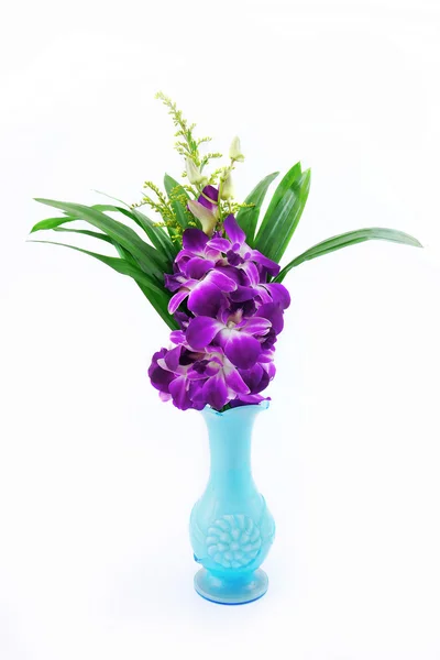 Fiore di orchidea viola . — Foto Stock