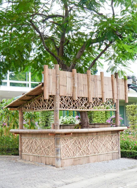 Bambusstand im Park. — Stockfoto