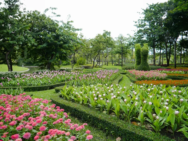 Diseño de jardín. — Foto de Stock