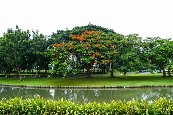 Paisajismo — Foto de Stock