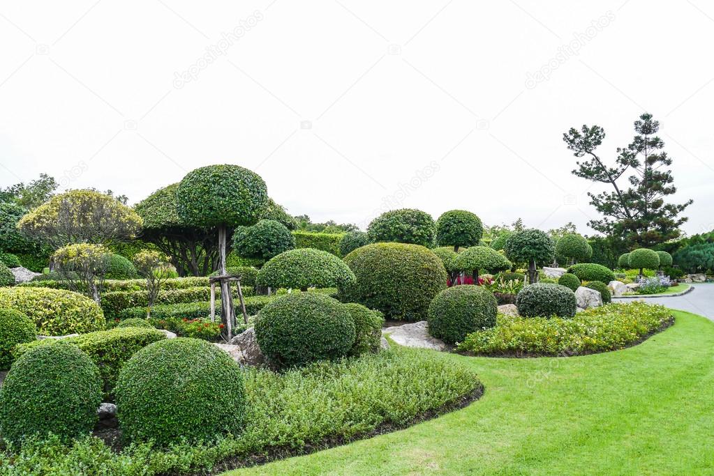 Kleinwuchsig Baume Stockfoto C Araleboy 42645909
