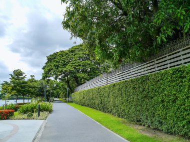 Park üzerine yaz