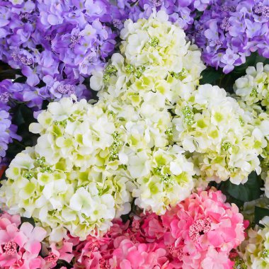 renkli yapay çiçek .