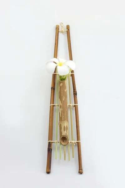 Hanging bamboo basket of flowers. — Stock Photo, Image