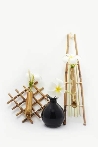 bambu sepet çiçek asılı.