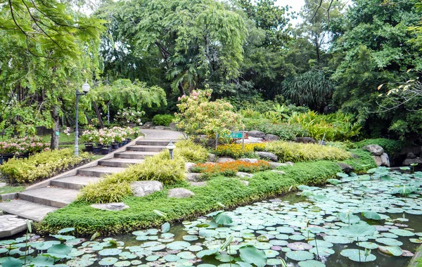 Park op de zomer. — Stockfoto