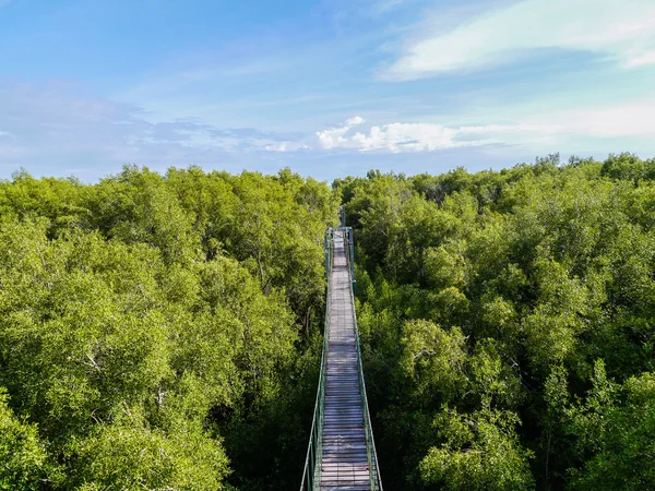 Puente colgante — Foto de Stock