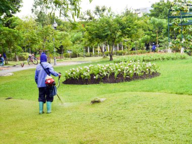 Çim biçme makinesi 