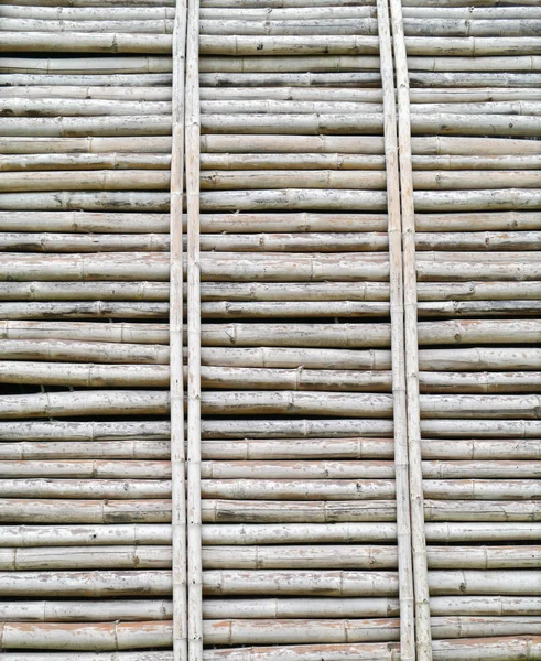 Pared de bambú . —  Fotos de Stock