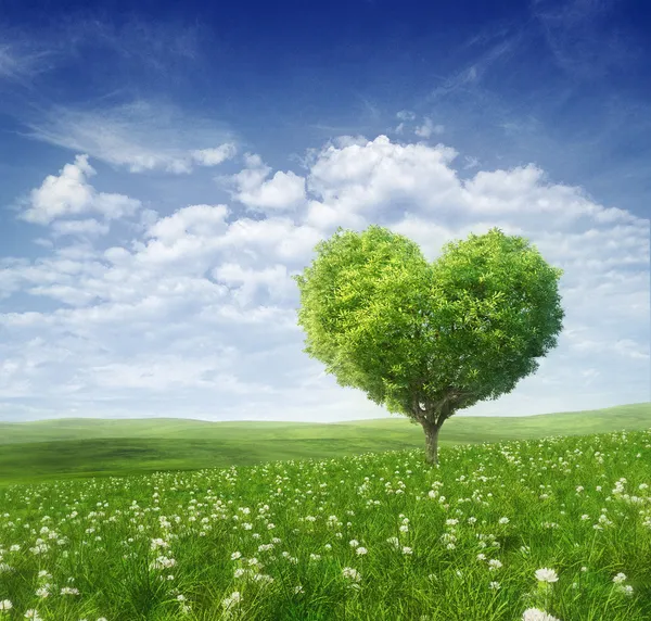 Tree in the shape of heart, valentines day background — Stock Photo, Image