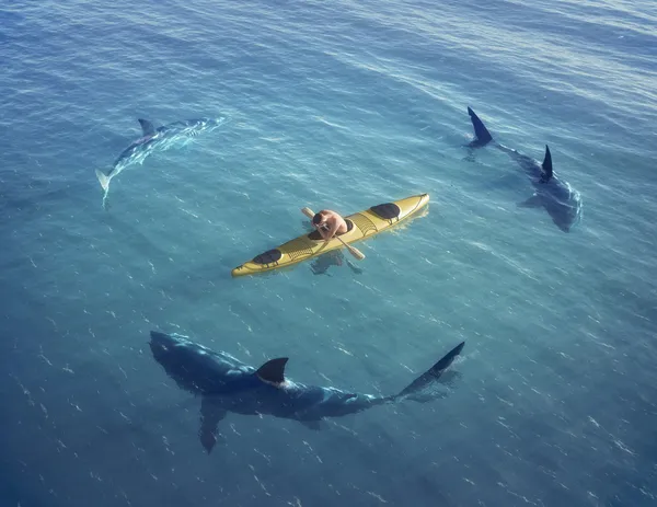 Bir gemide köpekbalığı saldırısı — Stok fotoğraf