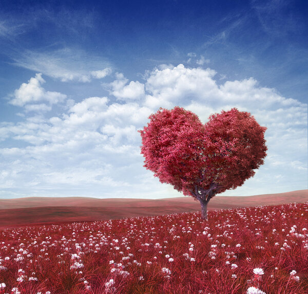 Ри в форме сердца, День святого Валентина фон
