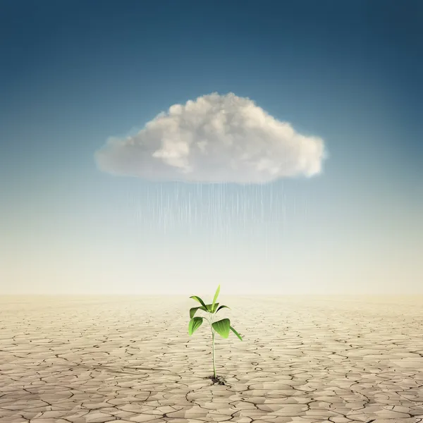 Nube con agua debajo de la planta —  Fotos de Stock