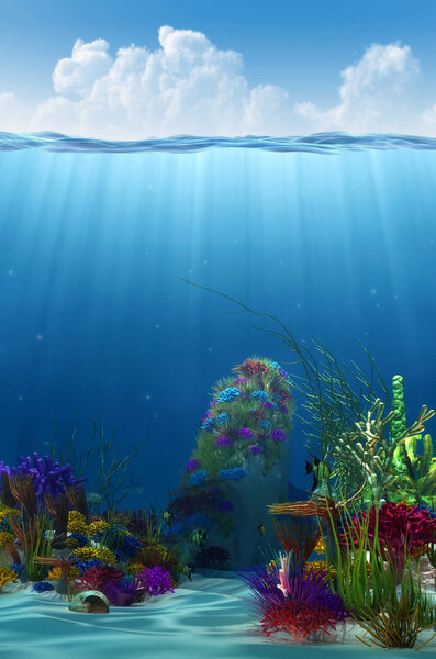 Waterline and underwater background