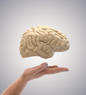 Brain in hand clipart