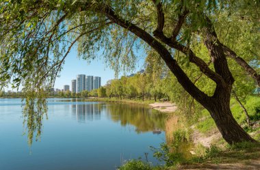 Ürdün Gölü Kyiv 'de Obolon