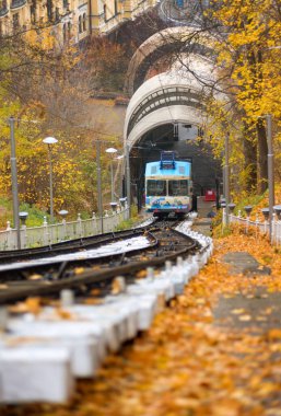 Kyiv sonbahar ağaçları arasında füniküler