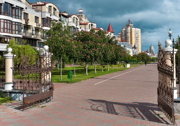 Red Chestnuts Obolon Embankment Kyiv — Stock Photo, Image