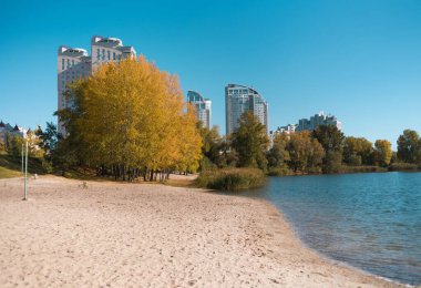 Sonbahar sarı ağaçları: Kyiv 'deki Obolon' da Verbne Gölü