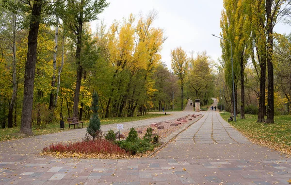 Podzim Kyjev Babi Yar Park — Stock fotografie