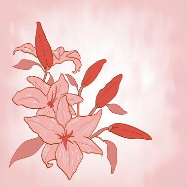 çiçek lily daveti veya tebrik kartı vektör