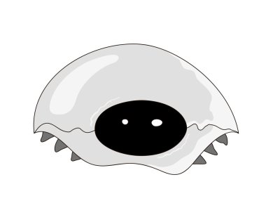 Gümüş metalik izole kaplumbağa