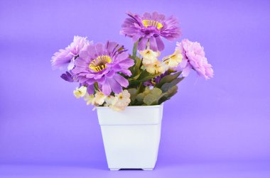 tencerede mor çiçek