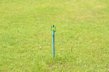  yüksek çim yağmurlama ile yeşil çimen, yakın çekim