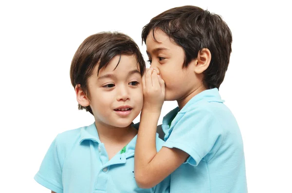 Pequeños niños hermanos compartiendo un secreto sobre fondo blanco — Foto de Stock