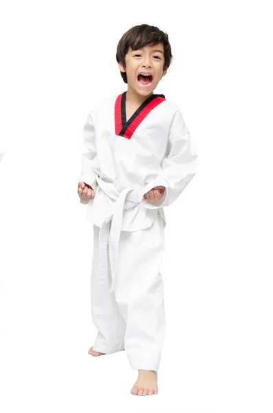 Pequeno tae kwon do menino arte marcial — Fotografia de Stock