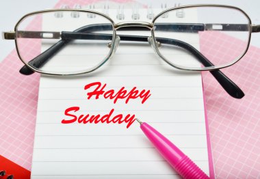 pembe kalem defter ve gözlük 