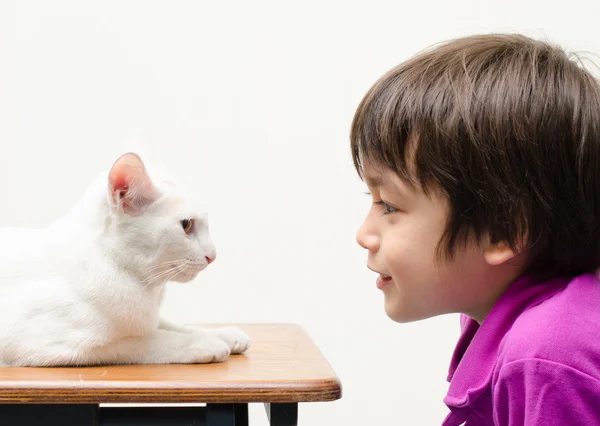 Little boy looking at little cat — Stock Photo, Image