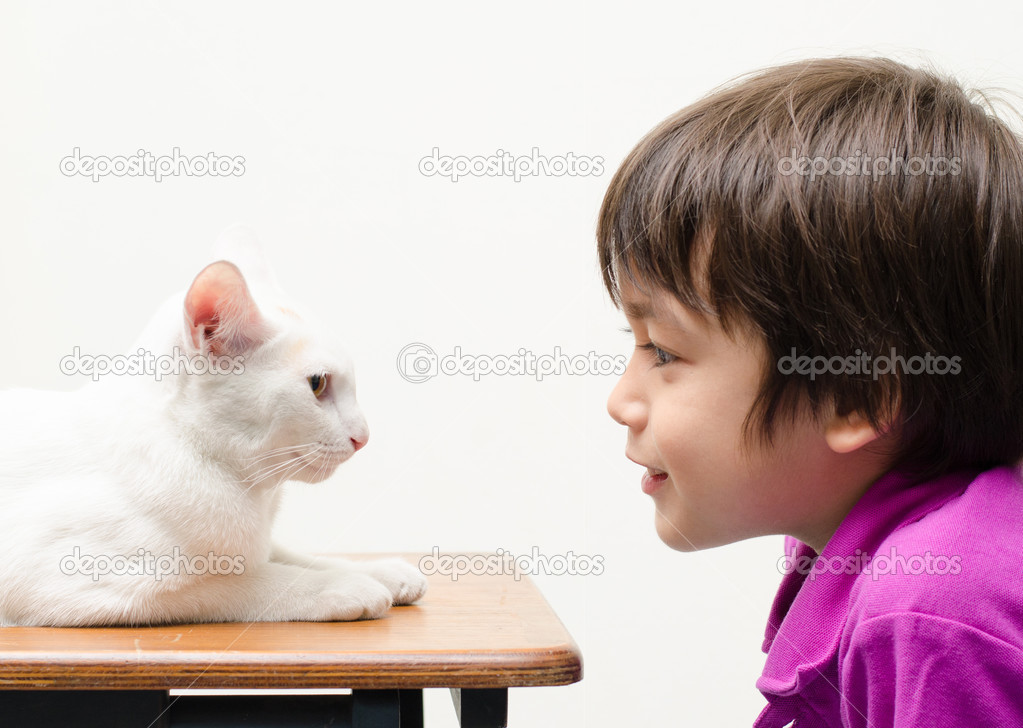 Little boy looking at little cat