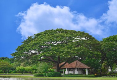 Bulutlu mavi gökyüzü