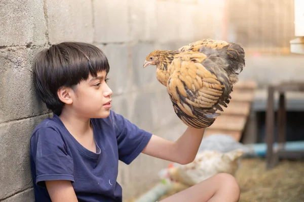 Little Asian Boy Playing Taking Care Chicken House Backyard Farm — Stock Photo, Image