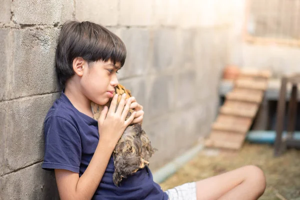 Little Asian Boy Playing Taking Care Chicken House Backyard Farm — Stock Photo, Image