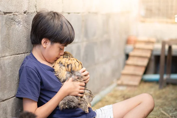 Petit Asiatique Garçon Jouer Prendre Soin Poulet Maison Arrière Cour — Photo