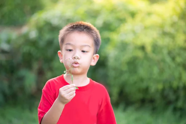 亚洲小男孩在春天里吹花花粉 — 图库照片