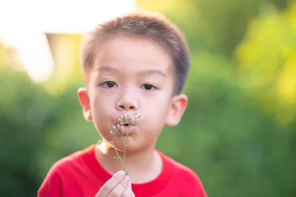 亚洲小男孩在春天里吹花花粉 — 图库照片