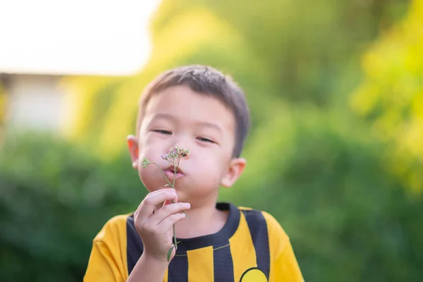Asian Little Boy Blowing Pollen Flower Summer Spring Time — Stock Photo, Image