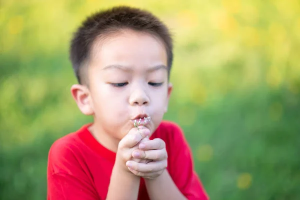 Asiatisk Liten Pojke Blåser Pollen Blomma Sommar Vår Tid — Stockfoto