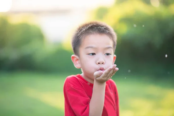 亚洲小男孩在春天里吹花花粉 — 图库照片