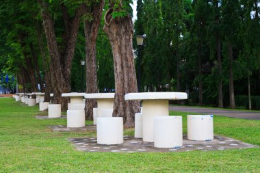 Mermer masa ağacın altına ayarla