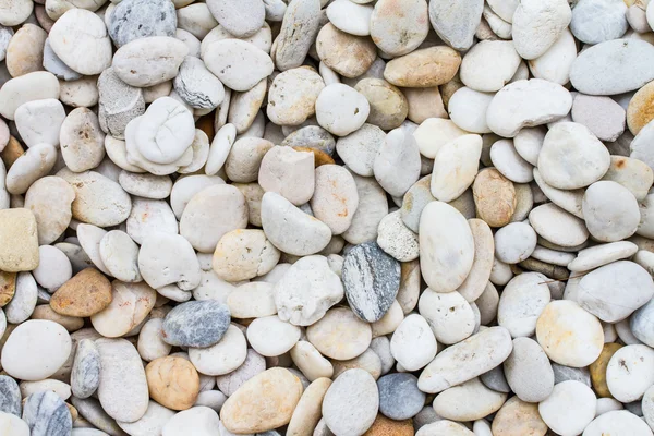 Pebbles background — Stock Photo, Image