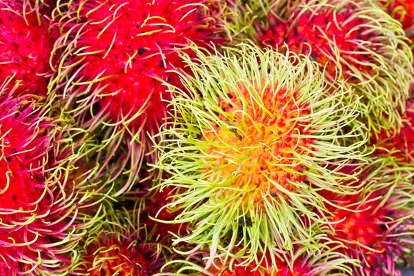 Frutas de Rambutans — Fotografia de Stock