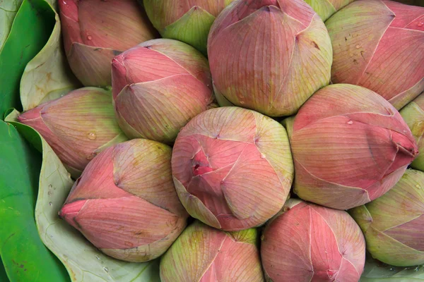 Bunch of lotus flowers — Stock Photo, Image