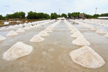 Salt field in Thailand