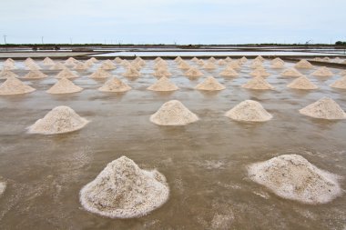 Salt field in Thailand