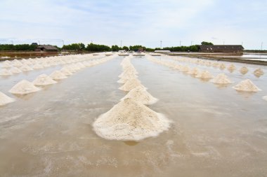 Salt field in Thailand